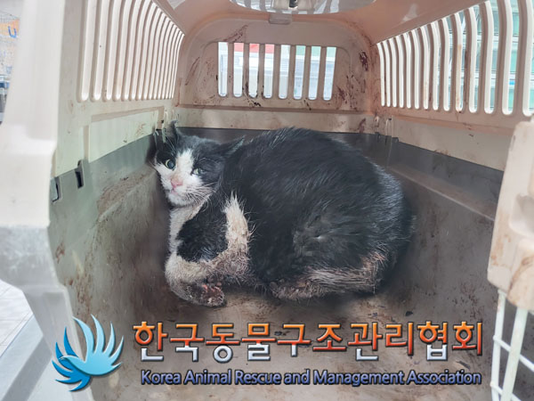한국동물구조관리협회_411317202300066